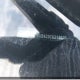 5XYKUDA23CG210675 2012 Kia Sorento auction photo thumbnail 17