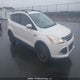 1FMCU9GX2DUB41588 2013 Ford Escape Se auction photo thumbnail 1