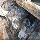5GAKVAED0CJ336470 2012 Buick Enclave auction photo thumbnail 10