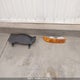 1GCWGFFA3D1161225 2013 Chevrolet Express 2500 Standard auction photo thumbnail 12