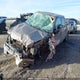 1FTFW1ET7DFC08106 2013 Ford F-150 Xlt auction photo thumbnail 2