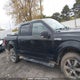 1FTEW1EF7HFC40582 2017 Ford F-150 Xlt auction photo thumbnail 13
