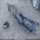 KMHD74LF6KU880598 2019 Hyundai Elantra Essential auction photo thumbnail 12