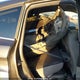 1FMCU0GD7HUA43292 2017 Ford Escape Se auction photo thumbnail 8