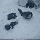 4S3GKAE62K3606641 2019 Subaru Impreza Sport auction photo thumbnail 12