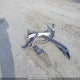 JN1BJ1AV9MW317755 2021 Nissan Qashqai S auction photo thumbnail 12