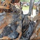 W1Y4KCHYXPP523210 2023 Mercedes-Benz Sprinter 2500 auction photo thumbnail 7