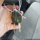 1FTFX1ET0DFA25210 2013 Ford F-150 Xlt auction photo thumbnail 11