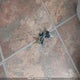 1UJBJ02M351JZ0352 2005 Jayco Jay Feather auction photo thumbnail 11