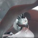 1FTYE1YM6JKB56521 2018 Ford Transit-150 auction photo thumbnail 10