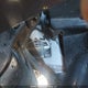 1HFSC47554A300082 2004 Honda Gl1800 A auction photo thumbnail 13