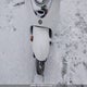 LPRSA30N69A190245 2009 Yamaha Xc50 auction photo thumbnail 18