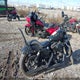 1HD4LE216LB437357 2020 Harley-Davidson Xl883 N auction photo thumbnail 4