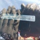 4T1BF1FK2DU655065 2013 Toyota Camry L/Se/Le/Xle auction photo thumbnail 19