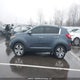 KNDPC3A24D7507990 2013 Kia Sportage Ex auction photo thumbnail 14