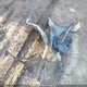 JM1BL1KF8D1800990 2013 Mazda Mazda3 Gx auction photo thumbnail 12