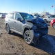 2T3RWRFV8SW279421 2025 Toyota Rav4 Xle/Woodland Edition auction photo thumbnail 1