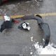 KNADM5A33D6856985 2013 Kia Rio Ex/Lx/Lx+/Sx auction photo thumbnail 12