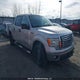 1FTEW1C83AFA23606 2010 Ford F-150 Xlt auction photo thumbnail 1