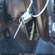 1C4RJFJG8EC282168 2014 Jeep Grand Cherokee Summit auction photo thumbnail 11