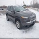 1C4PJLCB6HW649692 2017 Jeep Cherokee auction photo thumbnail 1