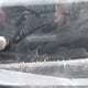 KMHD35LE3DU025420 2013 Hyundai Elantra Gt auction photo thumbnail 19