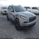 1C4PJMCS3EW288939 2014 Jeep Cherokee North auction photo thumbnail 1