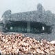 2CTALBEW0A6317312 2010 GMC Terrain auction photo thumbnail 18