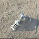 NM0LS7V21P1551520 2023 Ford Transit Connect Xl auction photo thumbnail 12