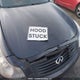 JNKBV61F27M814233 2007 Infiniti G35X auction photo thumbnail 10