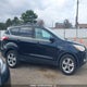 1FMCU9GX7DUB18985 2013 Ford Escape Se auction photo thumbnail 13