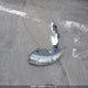 KNAFU5A22D5741221 2013 Kia Forte Ex auction photo thumbnail 12