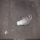 2C4RDGBG8CR315315 2012 Dodge Grand Caravan Se/Sxt auction photo thumbnail 11