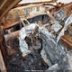 2HGFC2F71KH023093 2019 Honda Civic Sedan auction photo thumbnail 7