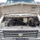 2GBEG25M7C4137862 1982 Chevrolet G20 auction photo thumbnail 10