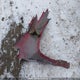 KL4CJESB2EB556273 2014 Buick Encore auction photo thumbnail 12