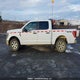 1FTFW1E52PKE01843 2023 Ford F150 Supercrew auction photo thumbnail 14