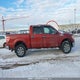 1FTFW1EFXEKD77877 2014 Ford F-150 Xlt auction photo thumbnail 12
