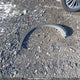 2LMTJ8LR2GBL46904 2016 Lincoln Mkx auction photo thumbnail 12