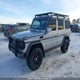 WDB4632481X129998 2002 Mercedes-Benz G-Class auction photo thumbnail 2