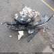 KMHD84LF3JU498377 2018 Hyundai Elantra Gl auction photo thumbnail 12