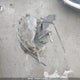 1G4PN5SK3F4217194 2015 Buick Verano auction photo thumbnail 12