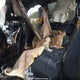 3GCUKREC6FG365290 2015 Chevrolet Silverado K1500 Lt auction photo thumbnail 19