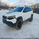 1C4PJMBX2LD545935 2020 Jeep Cherokee Trailhawk auction photo thumbnail 2