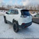1C4PJMBX2LD545935 2020 Jeep Cherokee Trailhawk auction photo thumbnail 3
