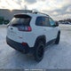 1C4PJMBX2LD545935 2020 Jeep Cherokee Trailhawk auction photo thumbnail 4