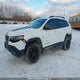 1C4PJMBX2LD545935 2020 Jeep Cherokee Trailhawk auction photo thumbnail 6