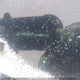 KMHD84LF4HU403156 2017 Hyundai Elantra Se/Value/Limited auction photo thumbnail 17