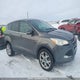 1FMCU9H99DUD20842 2013 Ford Escape Sel auction photo thumbnail 14