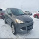 1FMCU9H99DUD20842 2013 Ford Escape Sel auction photo thumbnail 1